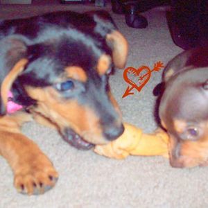 Meet your Posher, Deanne